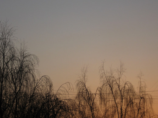 33086 (a): :1280x960